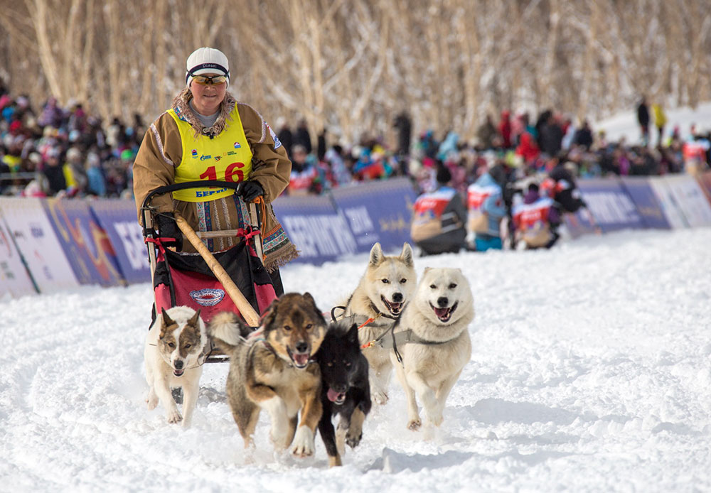 Perlombaan Anjing Iditarod 2014, Siberia Part I