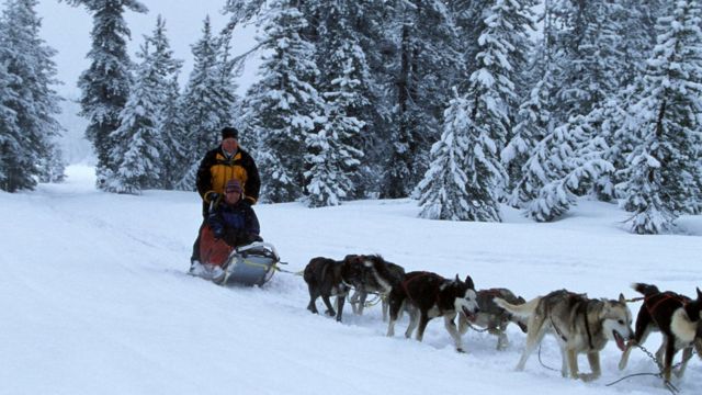 Lomba Anjing 2014 Iditarod, Siberia dari Nikolai ke Ruby