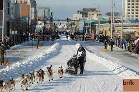 Iditarod Trail Sled Dog Race Joins New Global